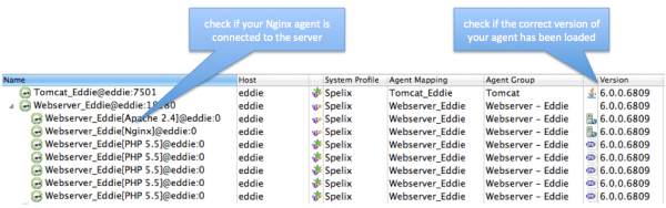 The Agent Overview dashlet of the dynaTrace client shows the connected agents.
