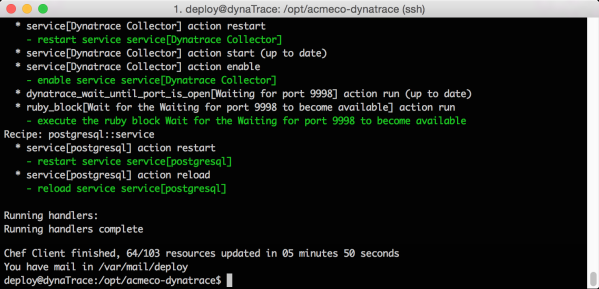 Successful execution of acmeco-dynatrace Chef Cookbook