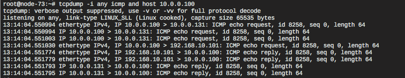 Tcpdump dump of ping on Neutron node