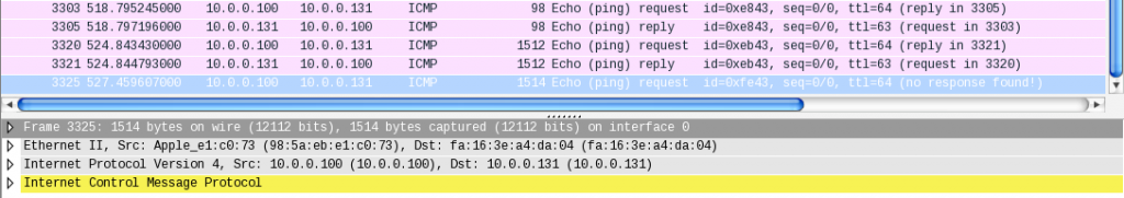 Ping analysis with Wireshark