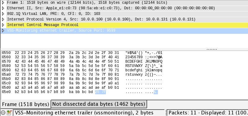 Trailing bytes