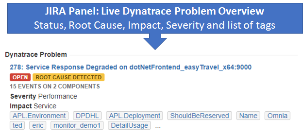 Web Panel where we show live Dynatrace Problem Overview including most critical meta data that you can also search for.