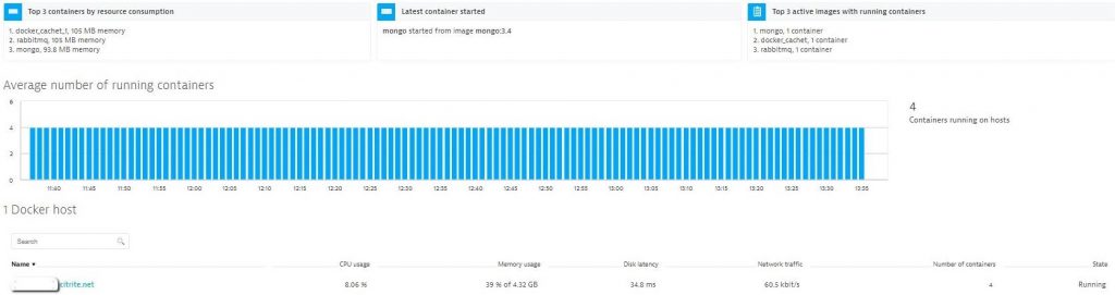 Dynatrace gives out-of-the-box overview into running containers and their resource consumption on the host