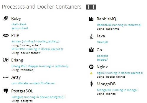 Dynatrace OneAgent automatically detects all processes and containers running on a host. 