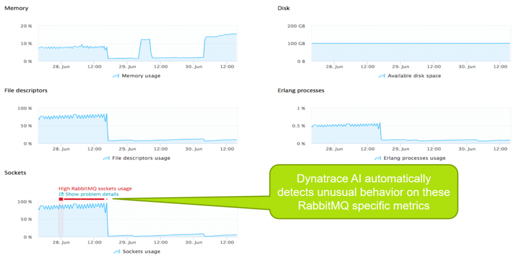 Dynatrace automatically alerts on critical limits of core RabbitMQ metrics such as high socket usage!