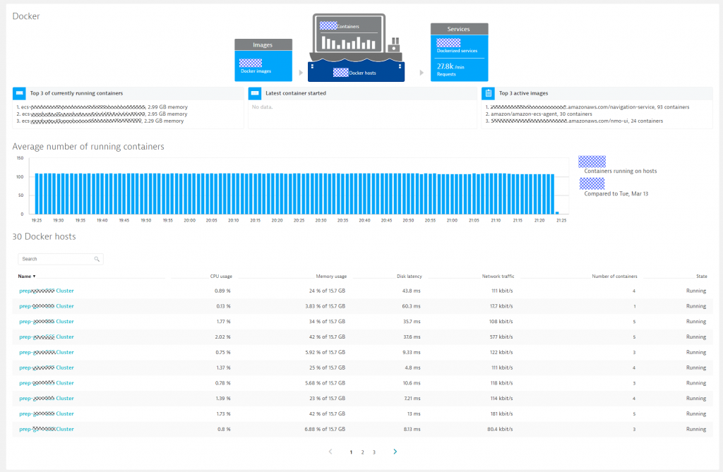 Dynatrace gives us full visibility across all docker containers running in ECS.