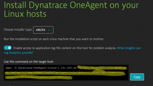 OneAgent URL