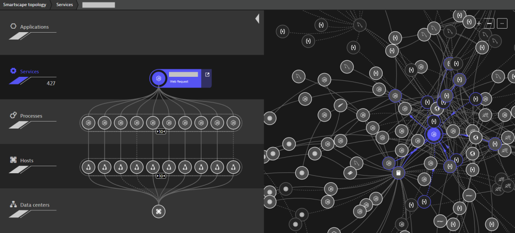 Same Smartscape as in the top of the blog – but now showing every individual container instance.