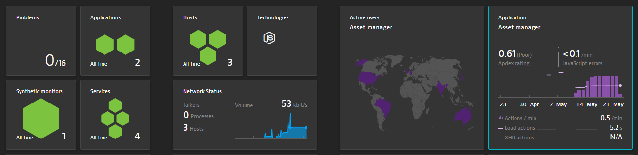 Standard Dynatrace dashboard showing all important health and <a href=