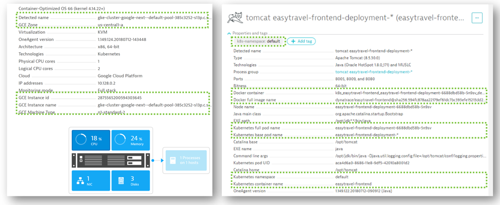 Example of properties OneAgent detected about the host, with the GCP metadata highlighted