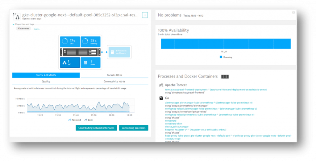 Overview page for a host running in GCE. From here you can click through to the performance metrics about the host, or any of the services OneAgent detected