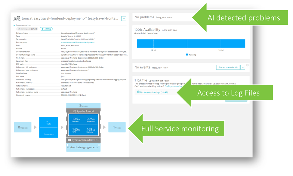 Overview page from Dynatrace for a service running in a container. You can see all the details about where the container is running, and any current problems. You can access log files generated by the container too