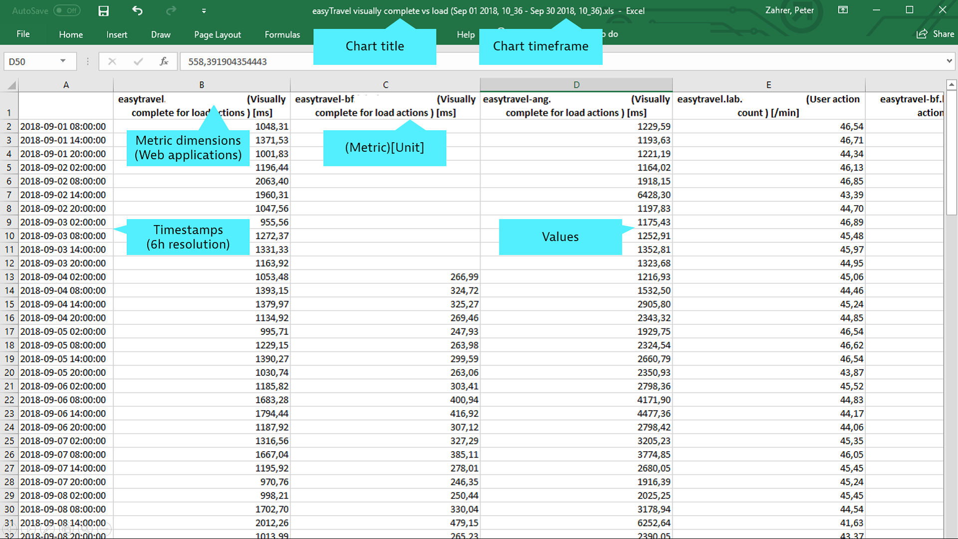 Screenshot Excel with Dynatrace data