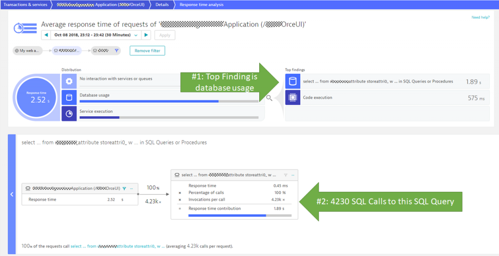 Dynatrace Hotspots Analysis immediately pinpoints the issue to excessive database queries!