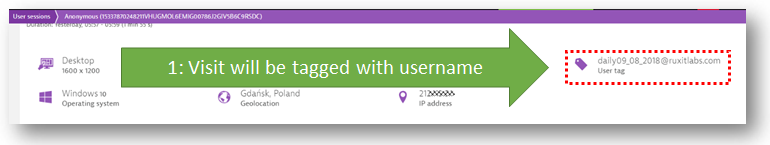 Once user tag capturing is configured your used username will show up in the visits details. You can also use it to search for a user by its name