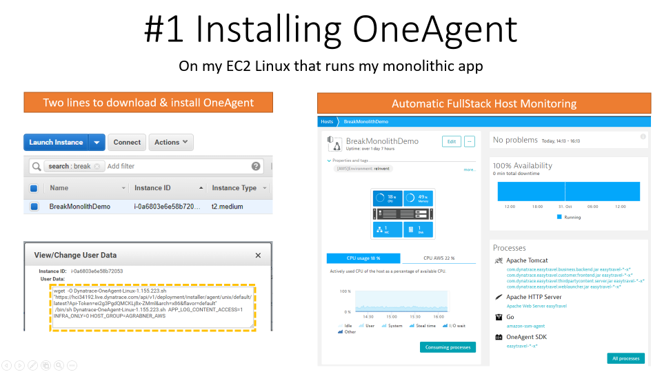 I only had to install the Dynatrace OneAgent on my host(s) where I am running my monolithic app(s)