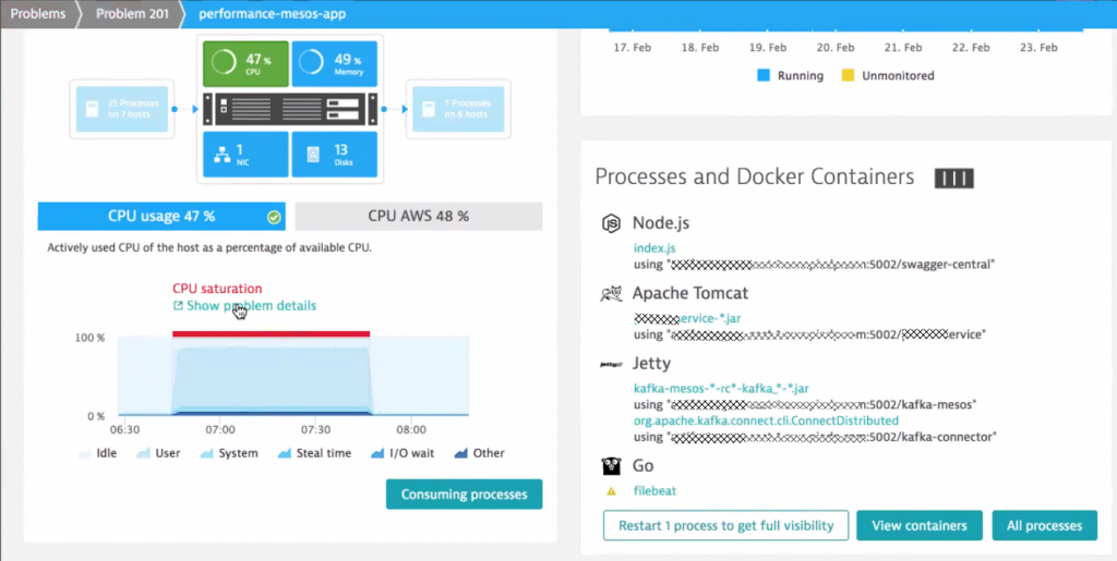 The Dynatrace OneAgent gives full visibility into every process and container running on this EC2 Linux machine