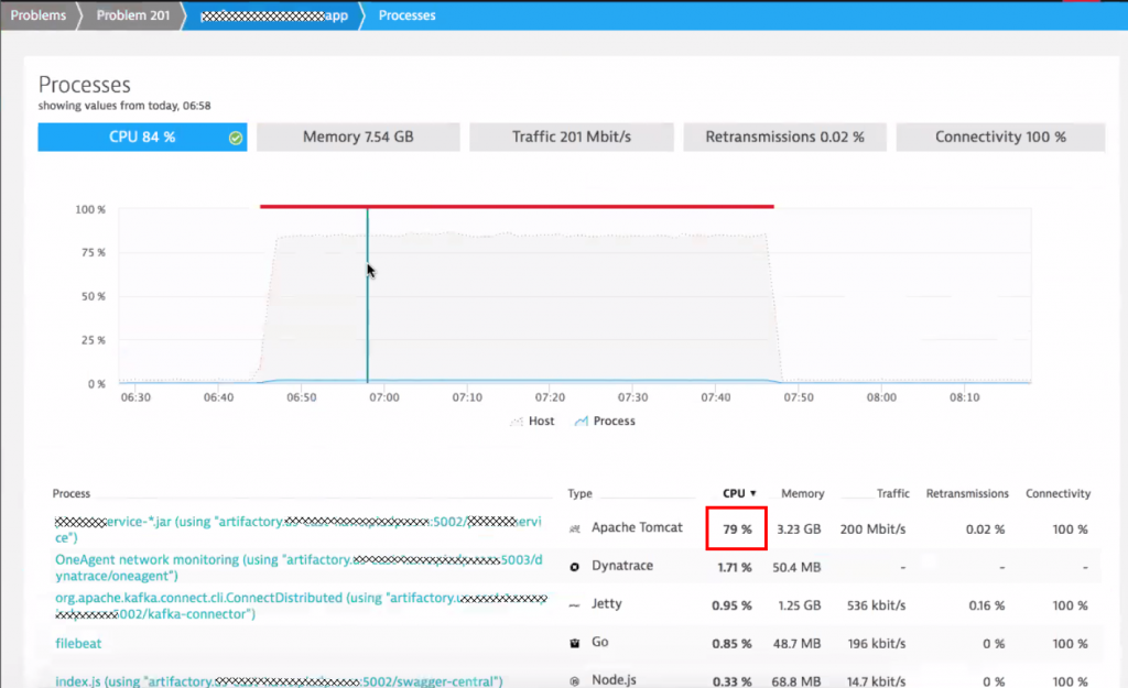 Dynatrace gives us key resource metrics for every process over time. Easy to spot that it was indeed Tomcat consuming all that CPU!