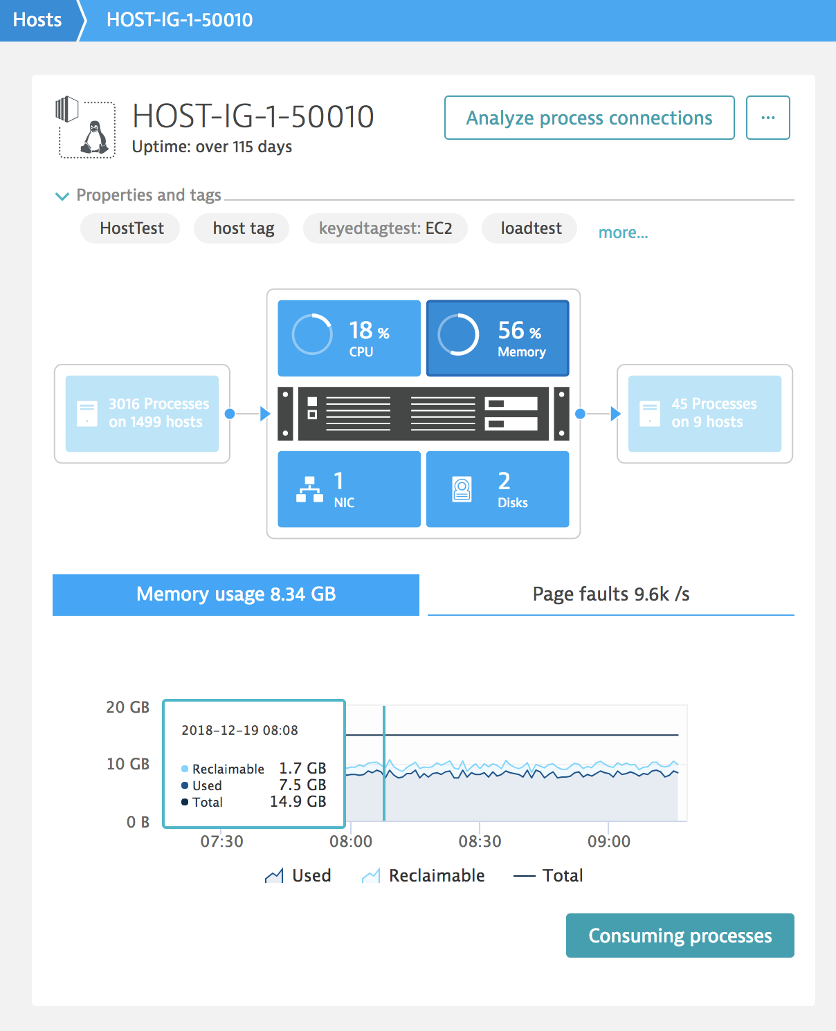 Reclaimable host memory graphic