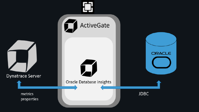 Oracle Database Insights Now Available Preview Dynatrace Blog