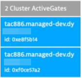 Cluster ActiveGate information on CMC Home page