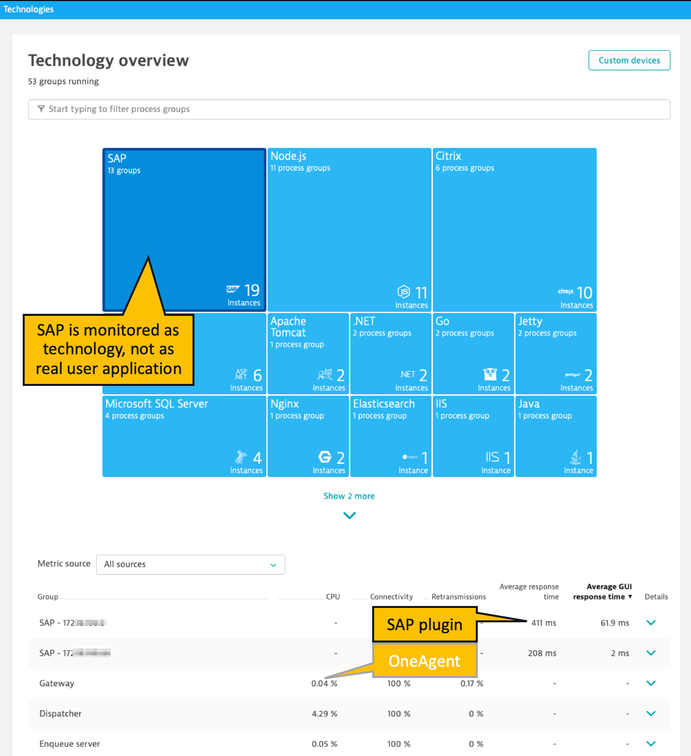 Dynatrace screenshot SAP overview