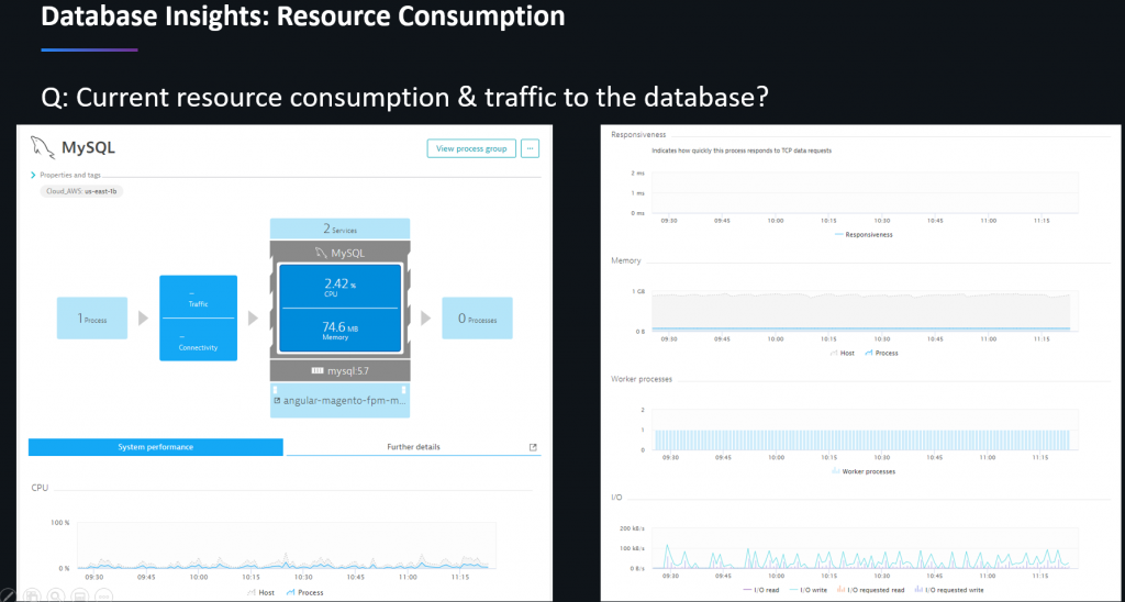 Use Dynatrace database resource utilization data for right sizing your lift & shift instances