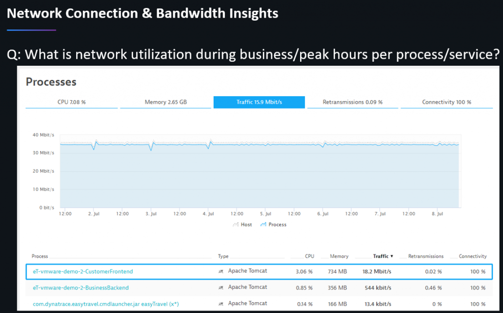 Dynatrace tells us about the peaks of network, cpu, memory usage for each host, process & service