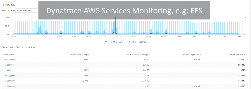 Dynatrace pulls in data from all sorts of AWS Services such as EFS …