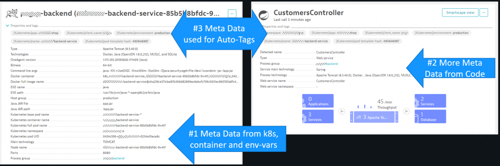 Dynatrace automatically captures meta data from k8s, container images and env variables. They can be converted to tags which act for filtering and access control