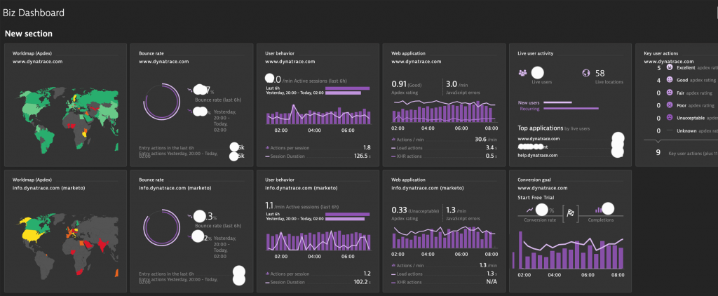 Screenshot Dynatrace Digital and Business Analysis