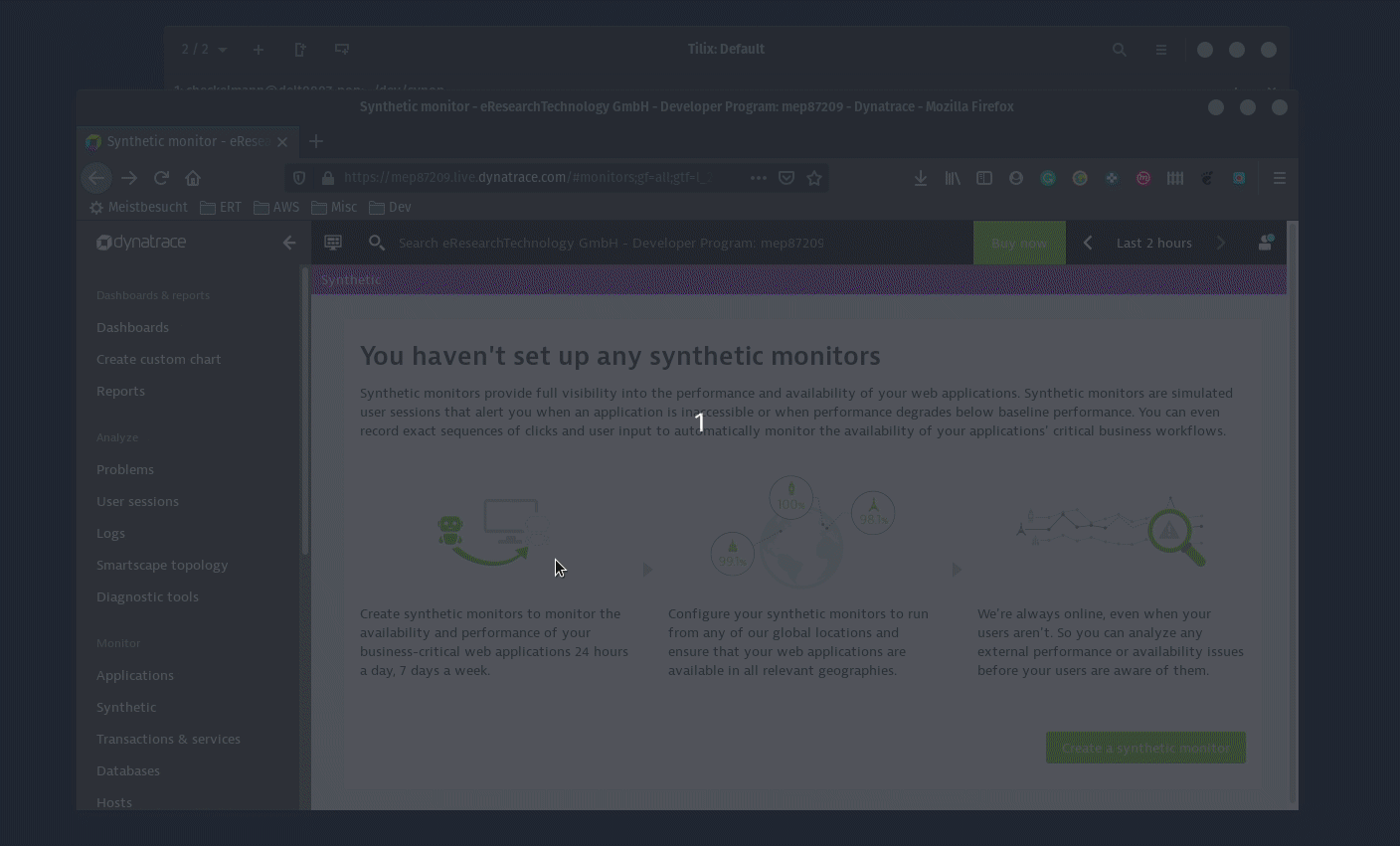 Synop Operator in Action: automatically creates the Synthetic Test for newly defined Ingress