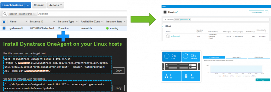 Installing the OneAgent on the environment we deploy your application under test is all we need to get full stack visibility!