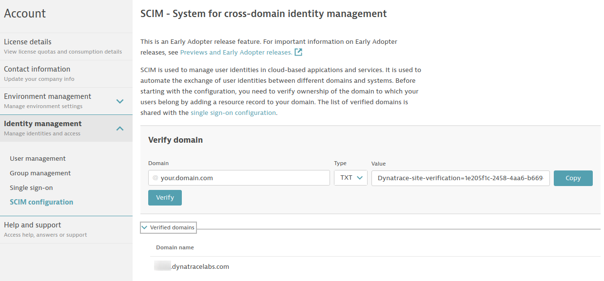 Domain Verification