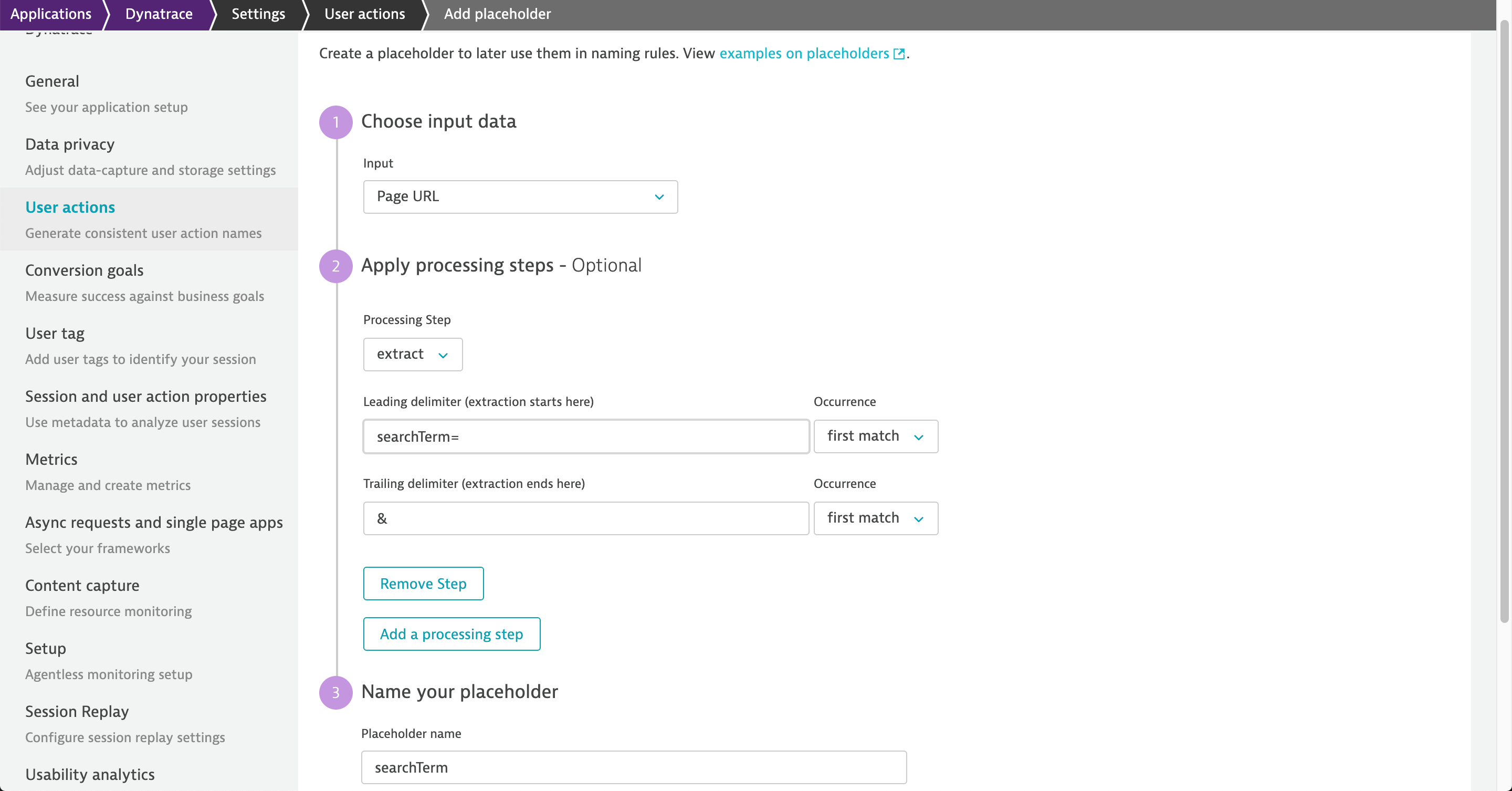 Placeholder for a search term marked by leading and trailing delimiters