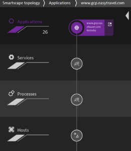 Dynatrace Smartscape Topology view