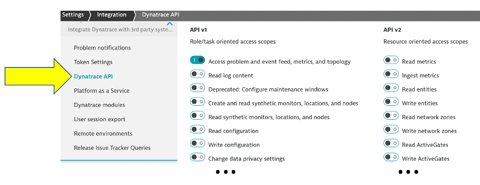 Dynatrace screenshot - Dynatrace API