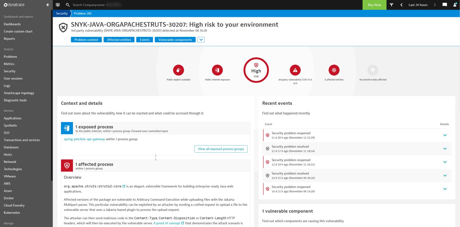 For each vulnerability, Dynatrace provides an overview supported by detailed information that provides additional context