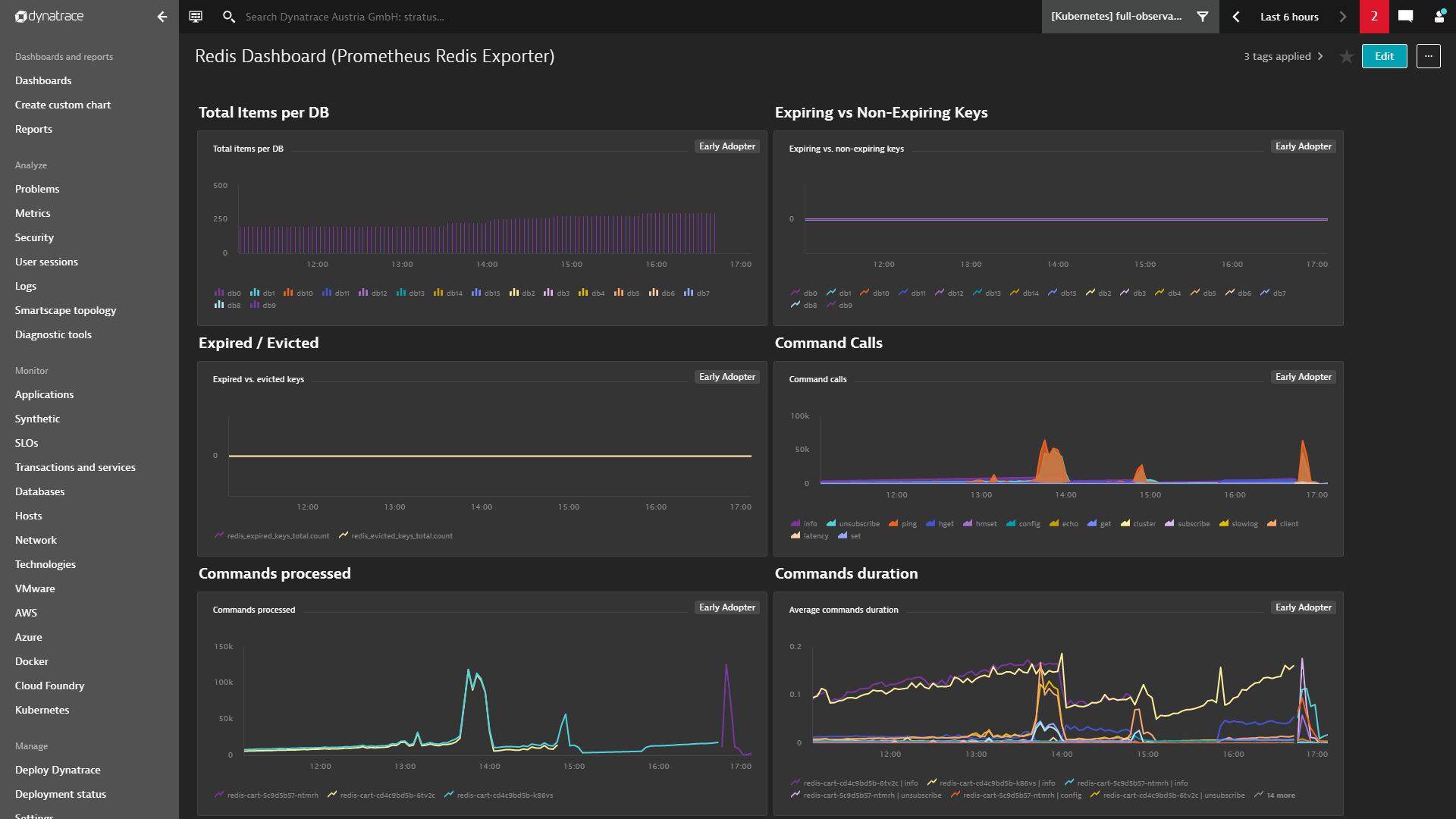 Screenshot Dynatrace custom charts explorer