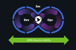 What is web application security? Everything you need to know.