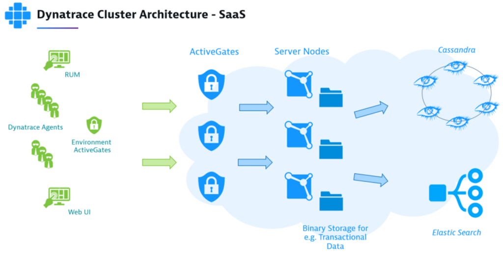 Dynatrace cluster architecture for SaaS and Managed