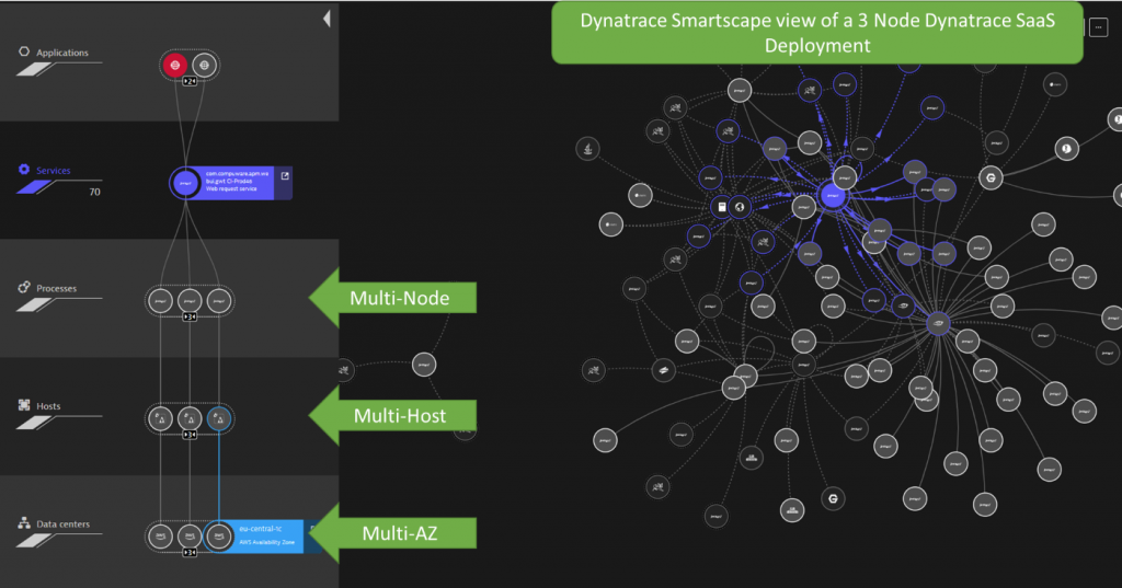 Screenshot Dynatrace live dependency information