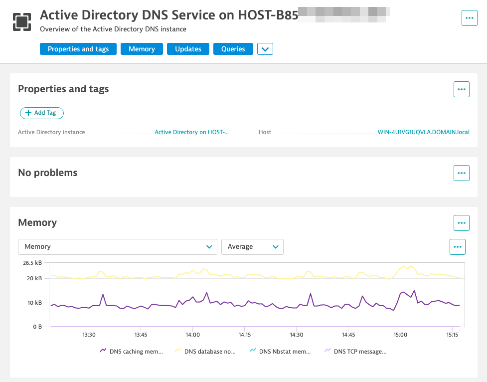 Active Directory DNS service analysis page