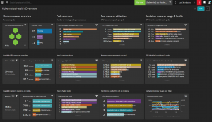 Kubernetes healthcare overview Dynatrace screenshot