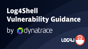 Log4Shell Vullnerability Guidance