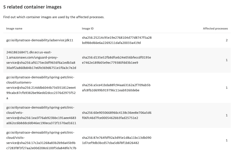 Log4Shell related container images