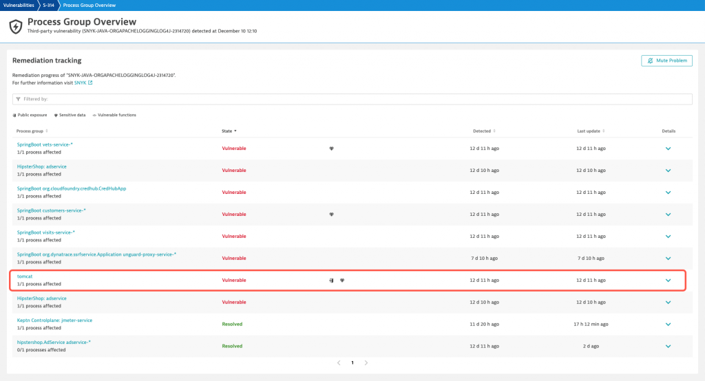 Log4Shell remediation tracking