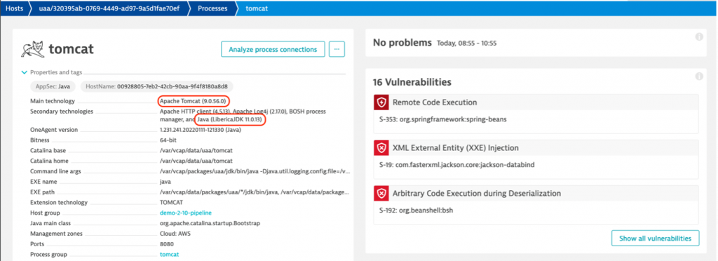 Dynatrace automatically finds Tomcat versions affected by Spring4Shell