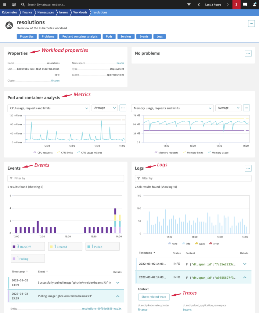 Overview of Kubernetes workload Dynatrace screenshot