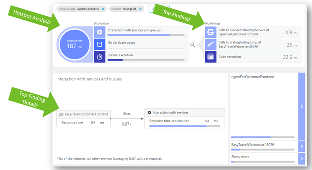 Dynatrace automated analysis of hotspots